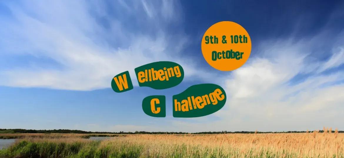 Wellbeing Challenge